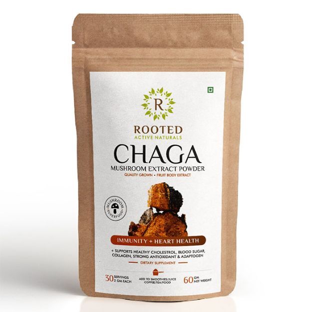 Rooted Active Natural Chaga Mushroom Extract Powder 60gm