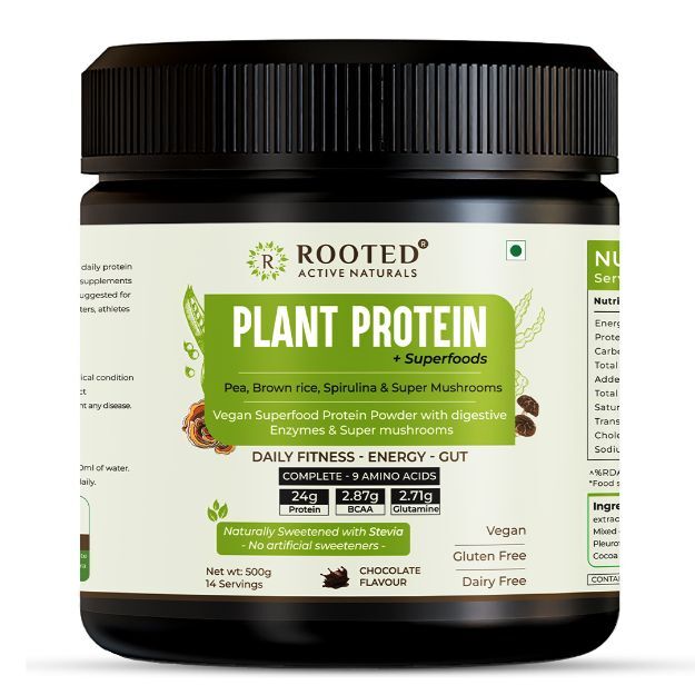 Rooted Active Natural Plant Protein Plus Super Food 500gm
