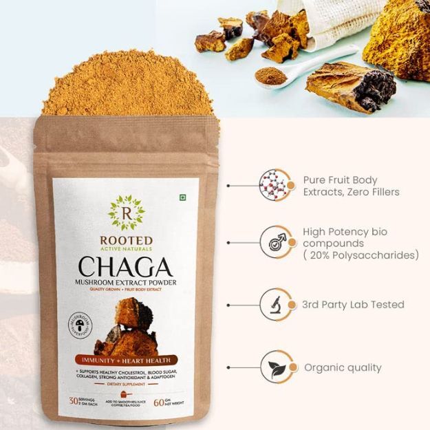 Rooted Active Natural Chaga Mushroom Tea Powder 100gm