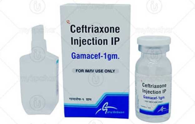 Gamacef Injection